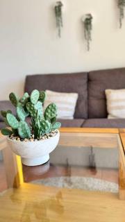 La Pau apartament in Calpe city - Valencia - 5