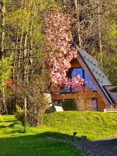 Mountains & Lakes - Chaletdorf & Appartements - Villach - 9
