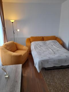 Ina Apartment Bermo Residence - Arad - 5