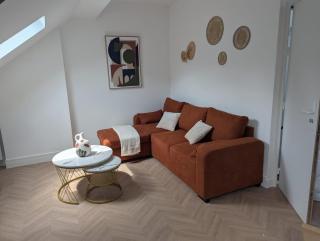 Sirius 3 - Superbe appartement centre ville pour 4 Personnes - Le Mans - 8