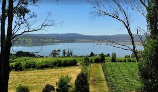 The Vineyard Vista at Tamar Ridge Apartments - Grindelwald - 1