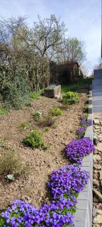 Niddouillet - Rochefort - 8