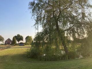 Hoeve Molenschot - Molenschot - 8