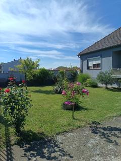 Apartman DOMAGOJ - Vukovar - 9