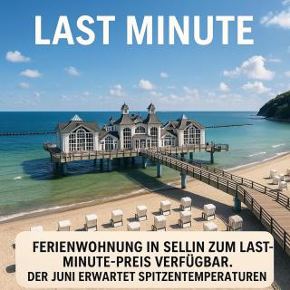 Strandhaus Manatee mit Sauna und Kamin - Ostseebad Sellin - 9