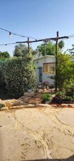Caza pikenya - Kefar Hess - 9