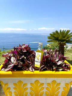 Wonderhome Praiano - 7