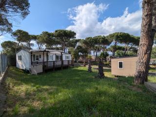 Mobil-home 8 pers CAMPING TIKAYAN LES CIGALES AU MUY - Le Muy - 0