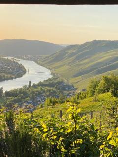 Apartment an der Mosel 2 - Graach - 6