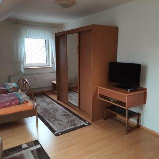Ferienwohnung mit Rheinblick 2-4 Personen - 8