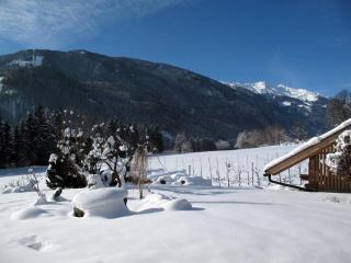TAMERBURGERHOF - Lienz - 9