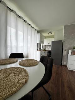 Apartament Chełmiec przy Szczawnie-Zdrój - Wałbrzych - 8
