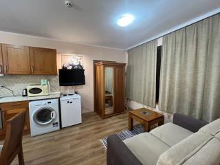 Spacious Studio at Gondola! Fast WiFi, Washer, AC, balcony, quiet - Bansko - 3