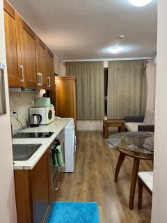 Spacious Studio at Gondola! Fast WiFi, Washer, AC, balcony, quiet - Bansko - 4