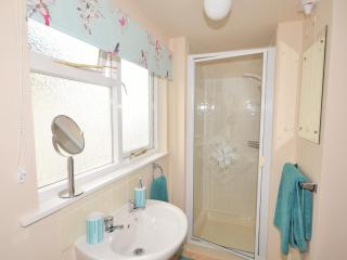 1 Bed in Torrington 42982 - Petrockstow - 2