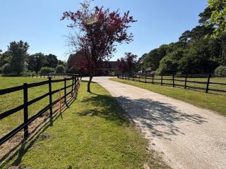Self Catering Apartment, Jurassic Coast/Dorset - Wareham - 8