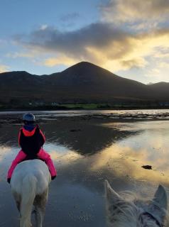 ELMGROVE , Croagh Patrick, Westport - 4