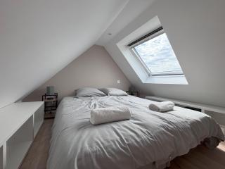 Logements centre Bourg - Plougastel-Daoulas - 9
