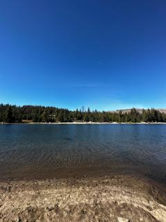 Bear Meadow Cabin at Shaver Lake - Shaver Lake - 8
