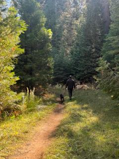 Bear Meadow Cabin at Shaver Lake - Shaver Lake - 7
