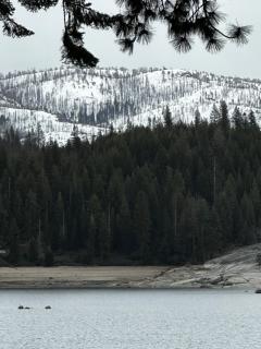 Bear Meadow Cabin at Shaver Lake - Shaver Lake - 2