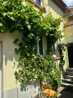 3 Floor XXL House, 7 Rooms, 2 Kitchen, 15 Minutes to Frankfurt, Washing Machine - 8