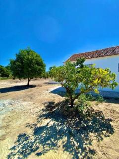 Idyllic, Charming Quinta das Laranjeiras - Alcácer do Sal - 9