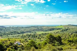 WILDSPIRIT Room - Villanueva de Alcolea - 0