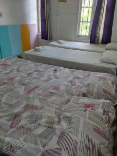 Johnson's Homestay With Pool & Ecohouseboat Near Town Beach - 7