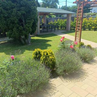 Villa Mátis - Balatonederics - 2