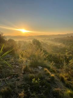 WILDSPIRIT Room - Villanueva de Alcolea - 4