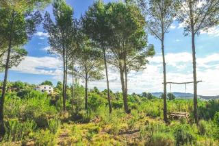 WILDSPIRIT Room - Villanueva de Alcolea - 2