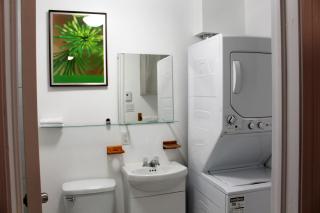 Magnifique 2 chambre 2311#3M - Montréal - 3