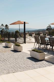 Casa do Tojo Camélias de Basto - Turismo Rural -  - 1