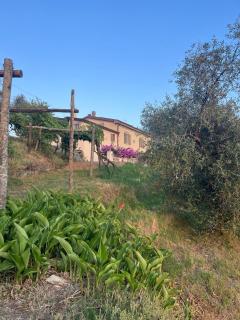 Forma Alta 59 Vineyard Reserve - Avenza - 6