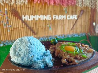 Second Floor Air-conditioned Room on Family Hut Bamboo House - Bagabag - 6