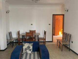 Luxurious Bole Apartment - Addis Abeba - 6