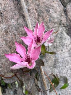 OSLOFJORD idyll - - 4