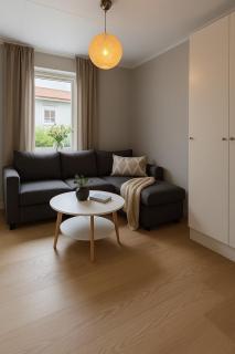 Sea view and beachfront house - Ljungskile - 8