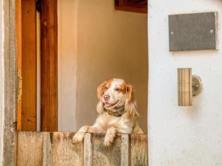 2 Bed in Tiverton 77442 - Washfield - 1