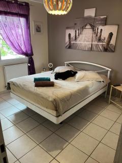 Villa le jasmin très calme - Andrézieux-Bouthéon - 6