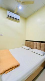 Hotel Panchavati Palace - Godarpura - 4