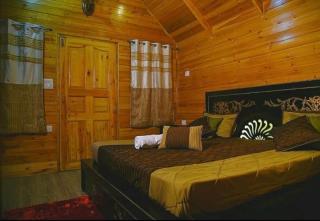 woodsy treehouse stay - 0