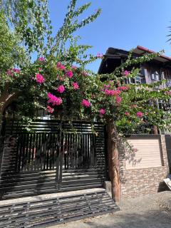 woodsy treehouse stay - 9