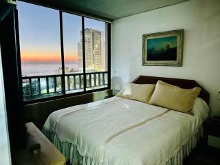 Hermoso departamento con la mejor vista de Viña del Mar - Viña del Mar - 4
