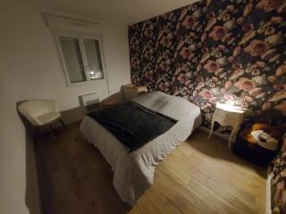 ma jolie maison , jardin privé , clim - Acquigny - 8