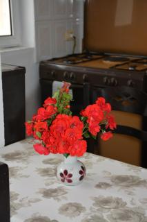 Guesthouse Odobashi - 4