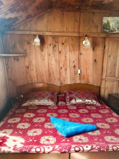 Budshah Palace House Boat - Srinagar - 1