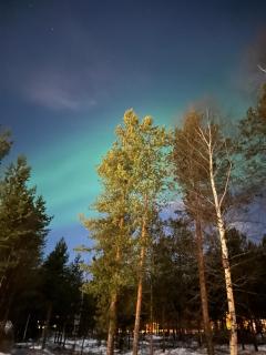 Elves Cabin - Rovaniemi - 6