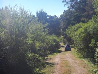 Rinconcito Punta Gorda Uruguay - Carmelo - Nueva Palmira - 6